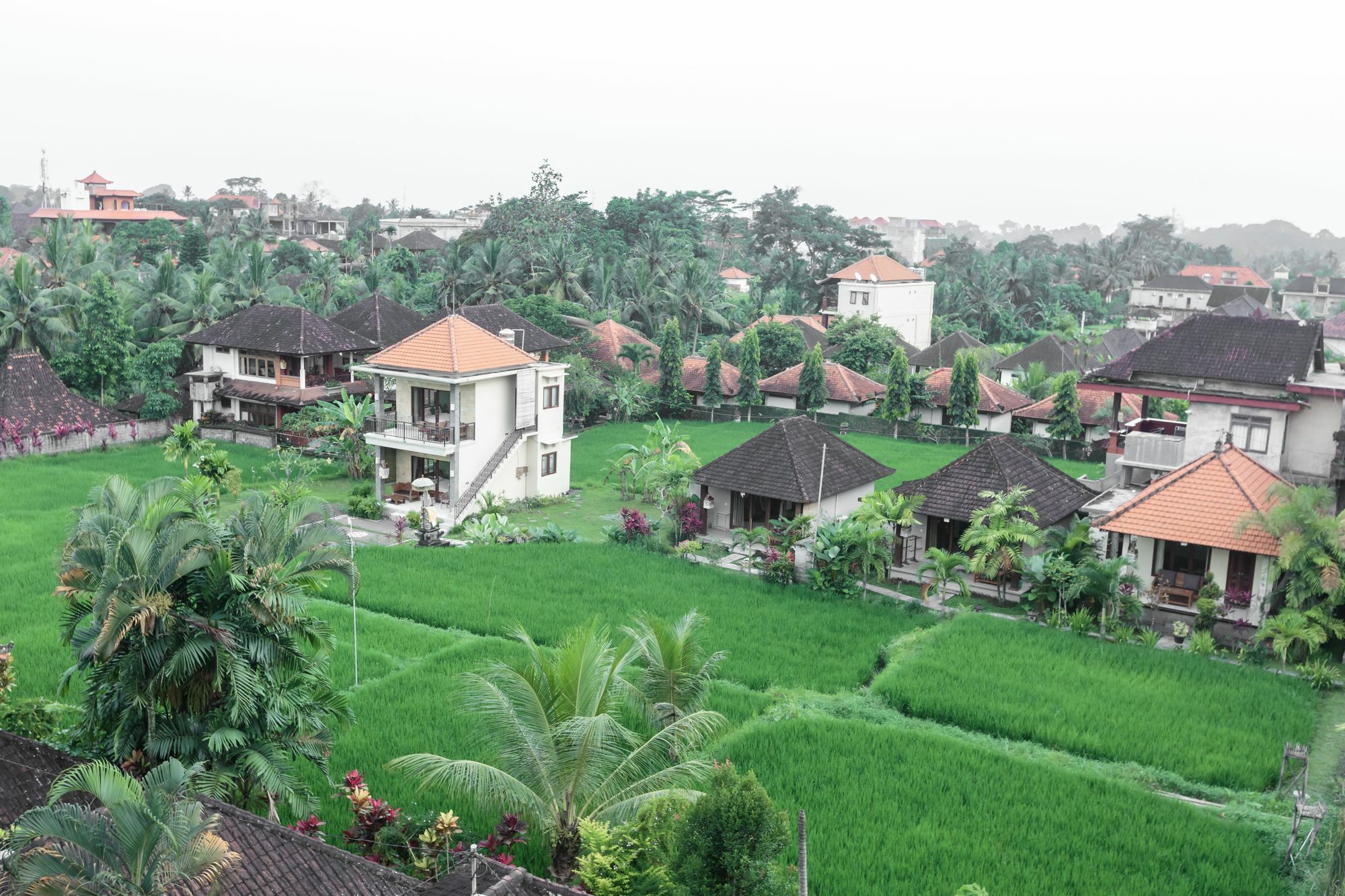 Guest house Warji House 2 Bisma 3*